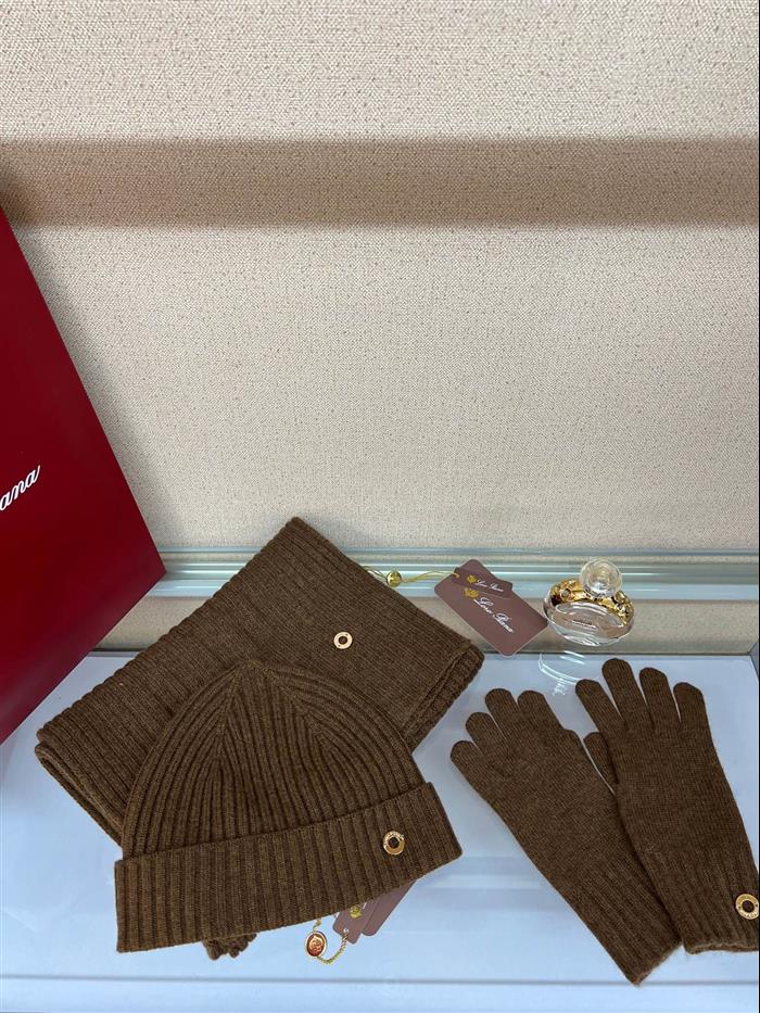 2026116112024384 100